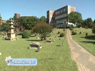 경북대학교 박물관